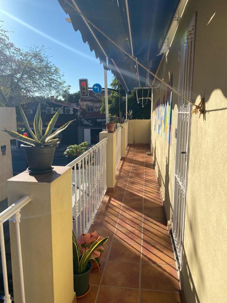 Casa Hombre Blanco Apartment Malaga Ngoại thất bức ảnh